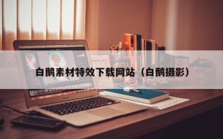 微山白鹅素材特效下载网站（白鹅摄影）